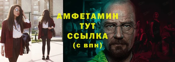 индика Михайлов