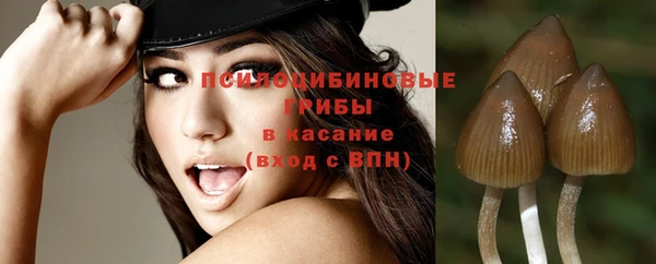 не бодяженный Горняк