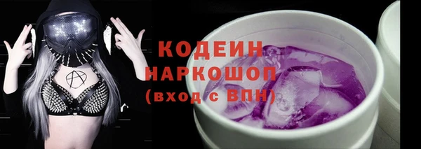 индика Михайлов