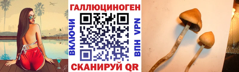 Псилоцибиновые грибы прущие грибы Куртамыш