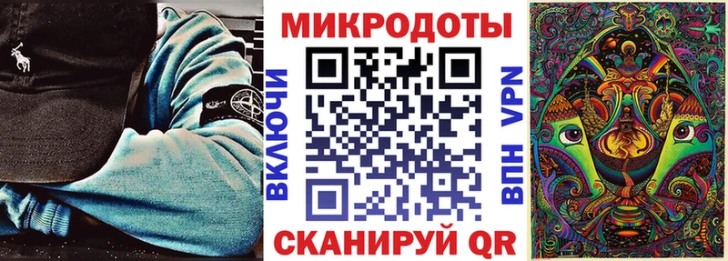 Псилоцибиновые грибы Psilocybe Куртамыш